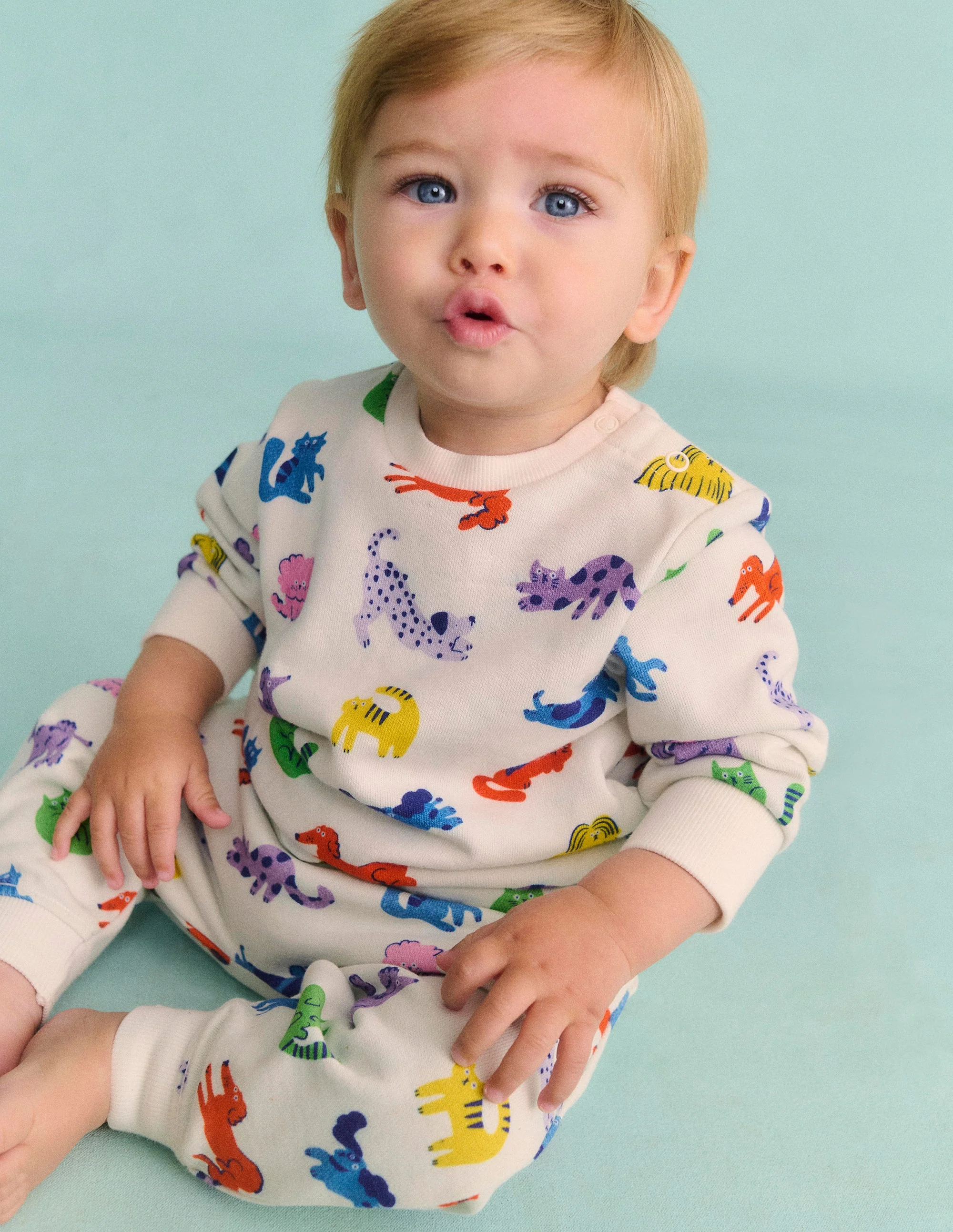Jersey Joggers-Multi Rainbow Pets - Image 4