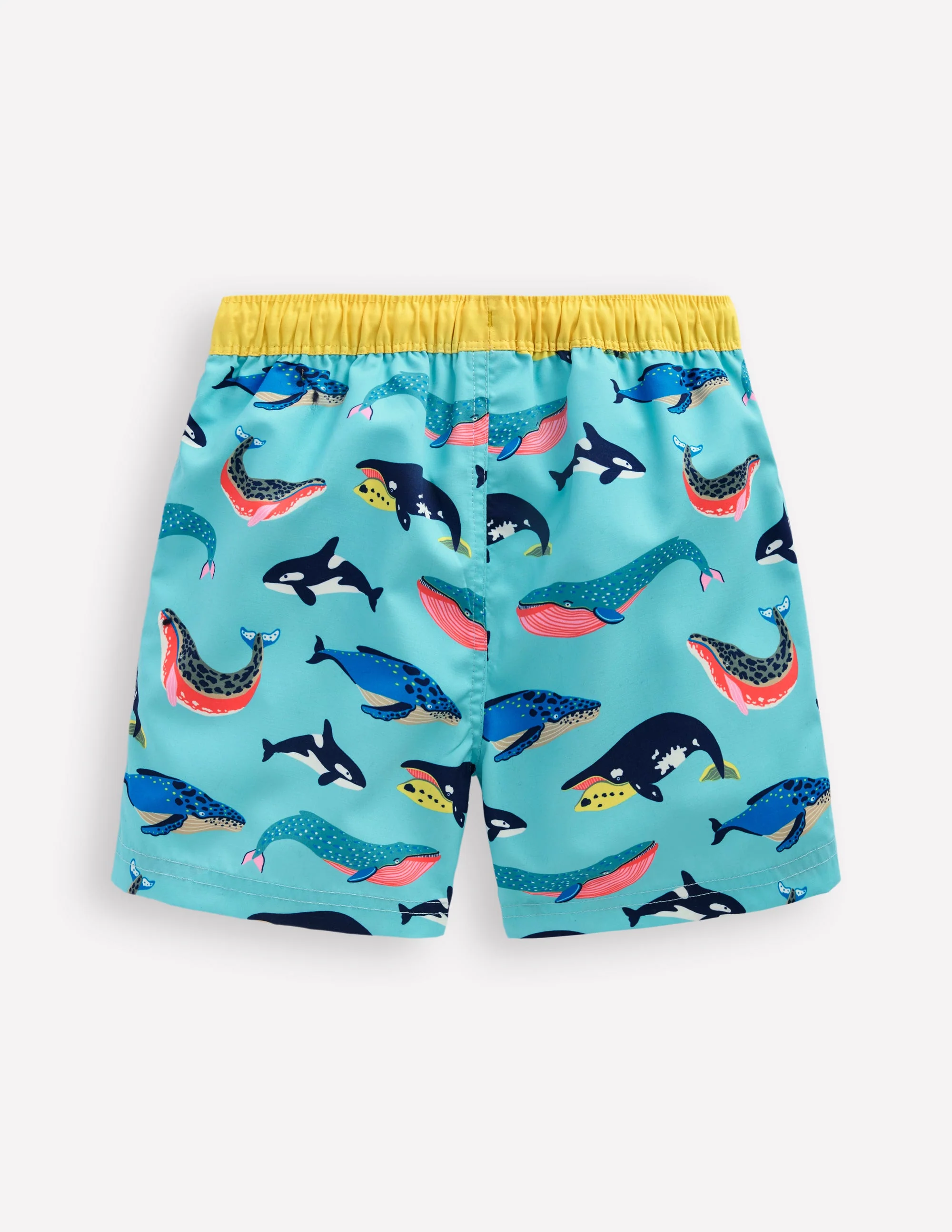 Swim Shorts-Swimming Whales - Image 2